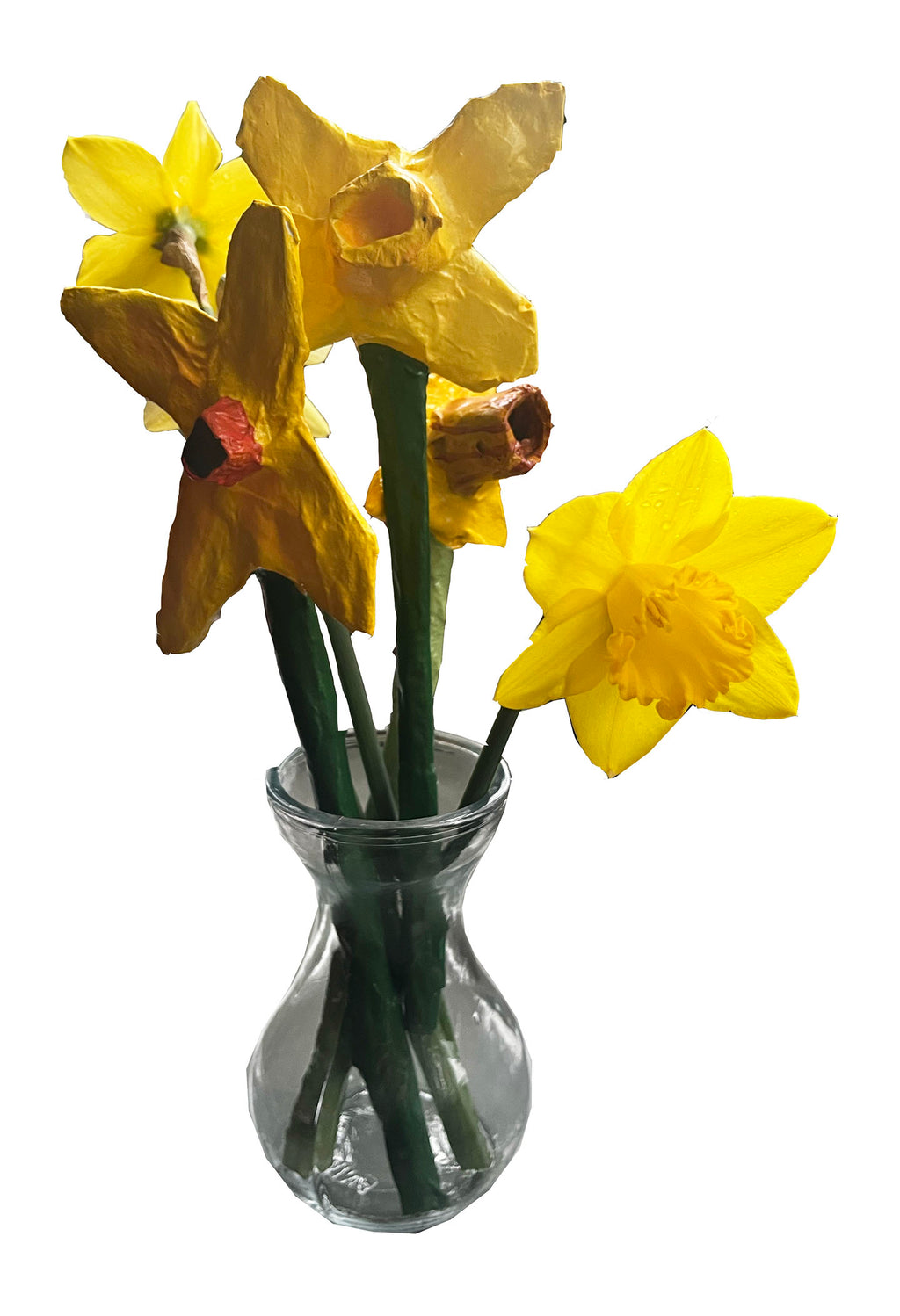 Daffodils, paper mache