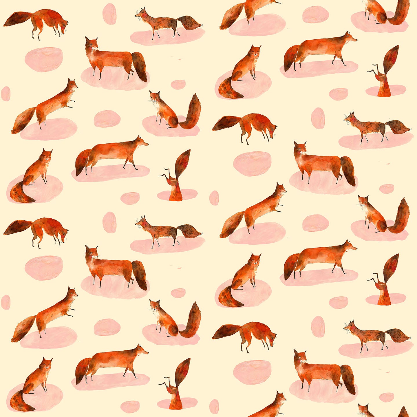 Fox Wallpaper