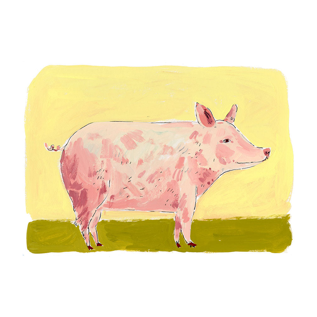 Pig, framed painting on paper
