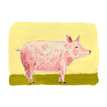 Pig, framed painting on paper