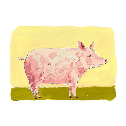 Pig, framed painting on paper