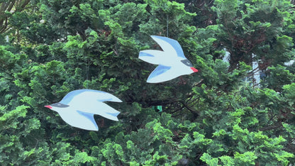 Flying tern bird