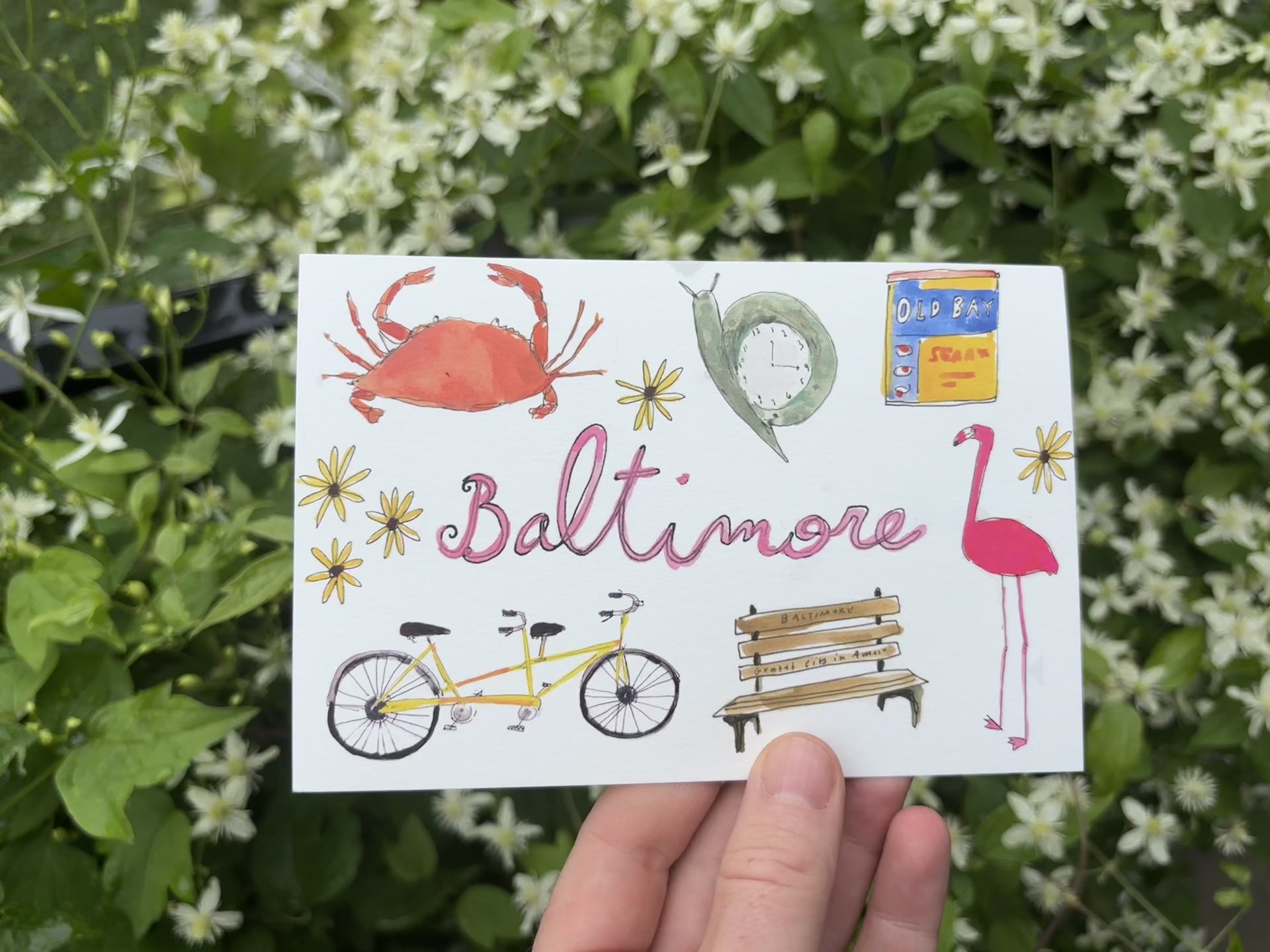 Baltimore postcard pack