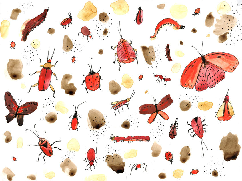 Red Bugs, framed painting on paper