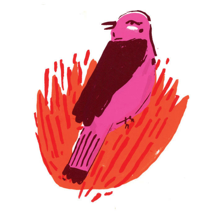 Bird screenprints, set of 4