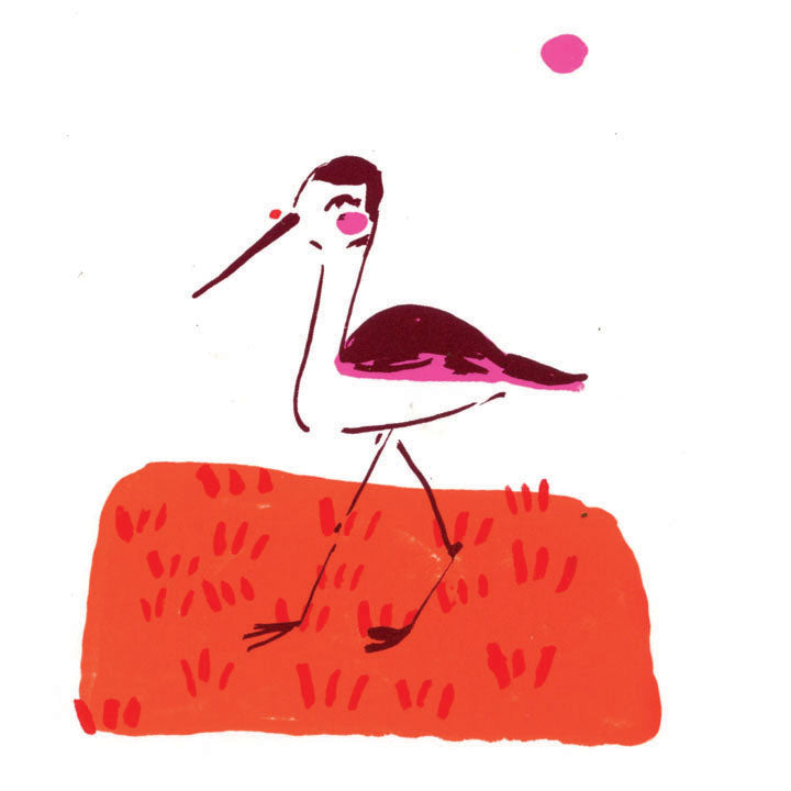 Bird screenprints, set of 4