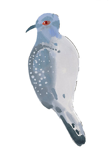 Diamond Dove, painting on paper