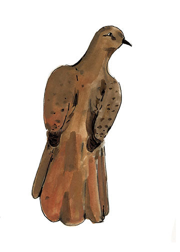 Dusty Cuckoo Dove, painting on paper