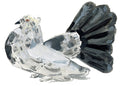 Indian Fantail, painting on paper