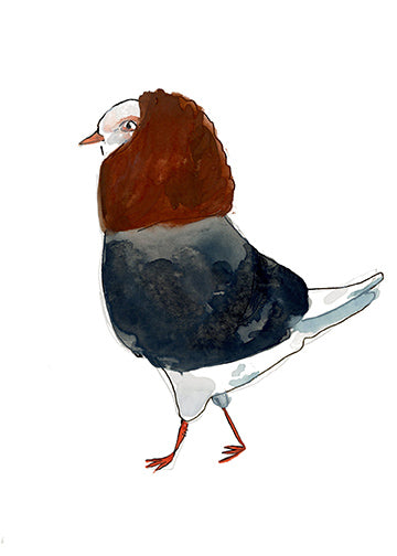 Old Dutch Capuchine, painting on paper