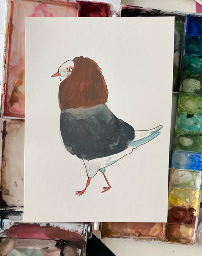 Old Dutch Capuchine, painting on paper