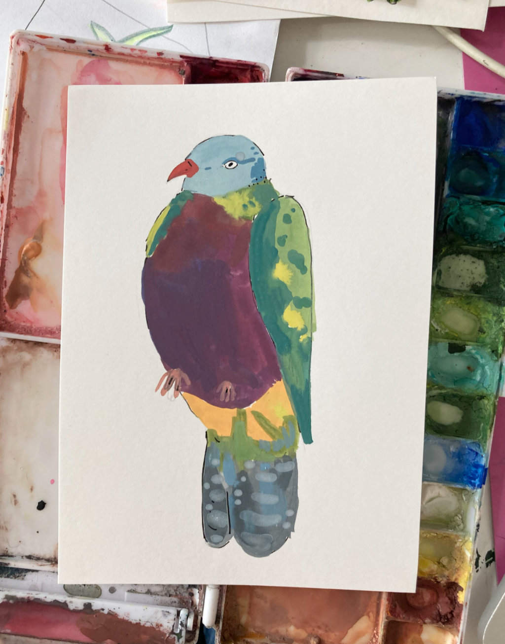 Wompoo Fruit Dove, painting on paper