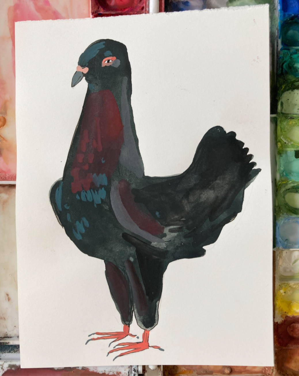 Maltease Pigeon, painting on paper