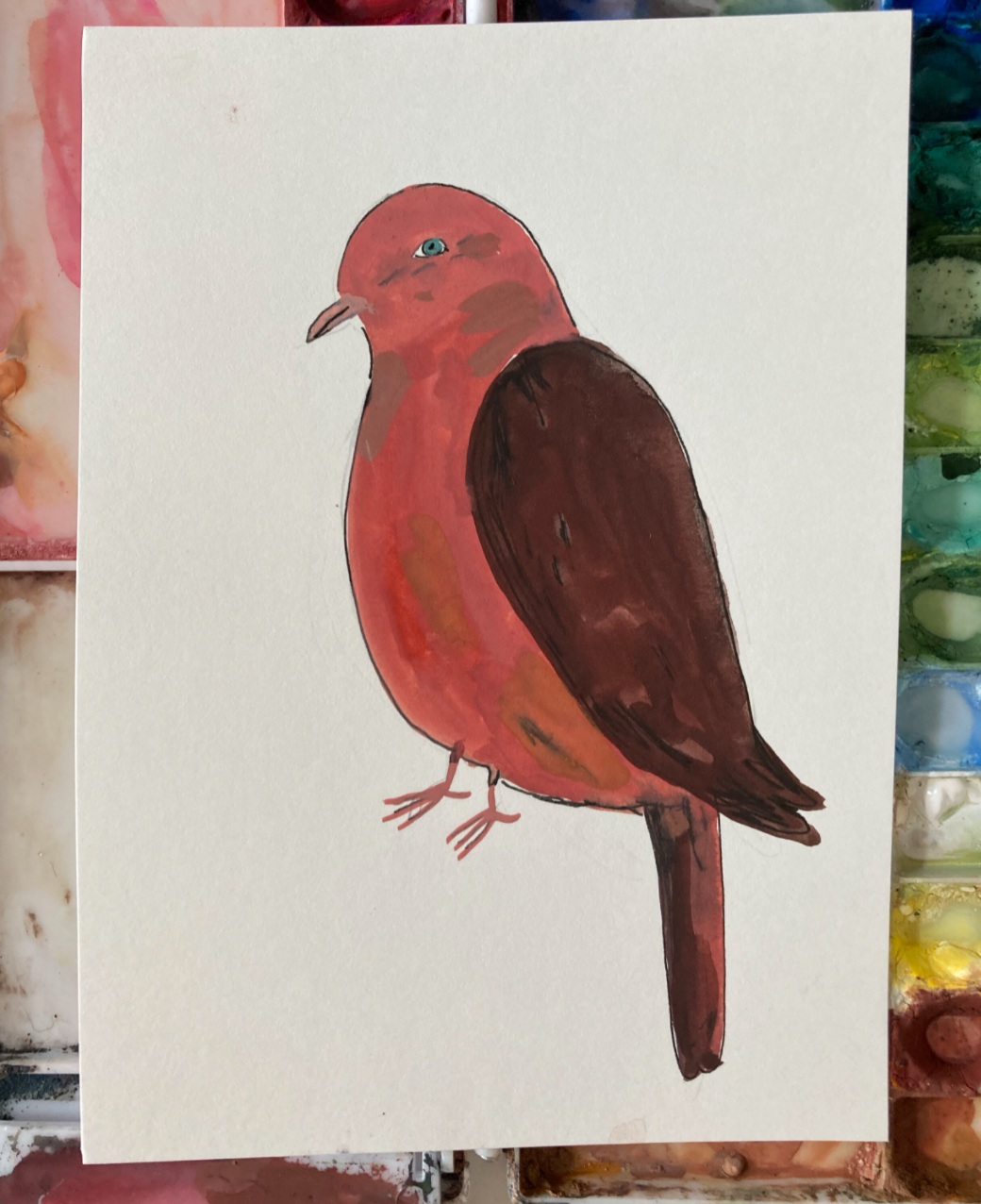 Ruddy Cuckoo Dove, painting on paper