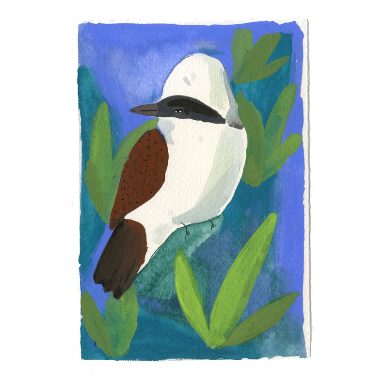 White-Crested Laughing Thrush Bird, painting on paper