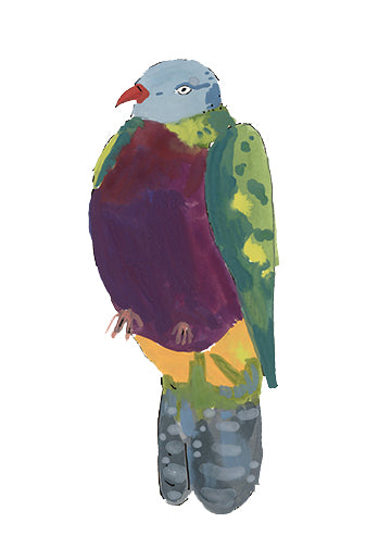 Wompoo Fruit Dove, painting on paper