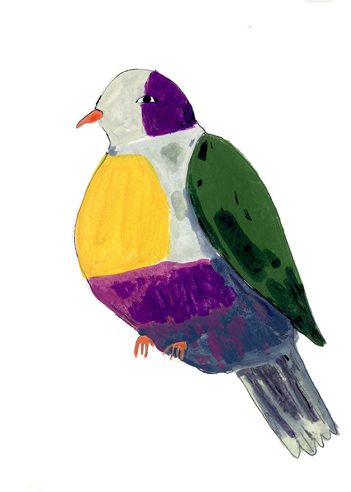 Yellow- Breasted Fruit Dove, painting on paper